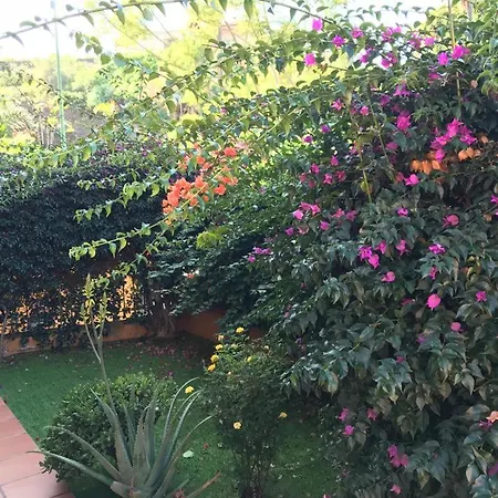 El Jardin Del Puerto Apartment *
